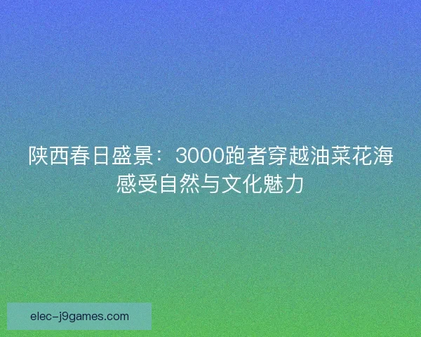 陕西春日盛景：3000跑者穿越油菜花海感受自然与文化魅力