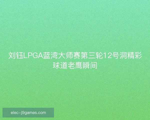 刘钰LPGA蓝湾大师赛第三轮12号洞精彩球道老鹰瞬间